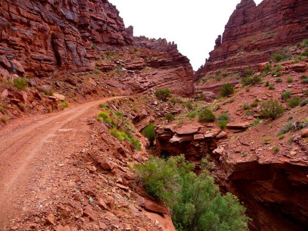 Onion Creek Trail.