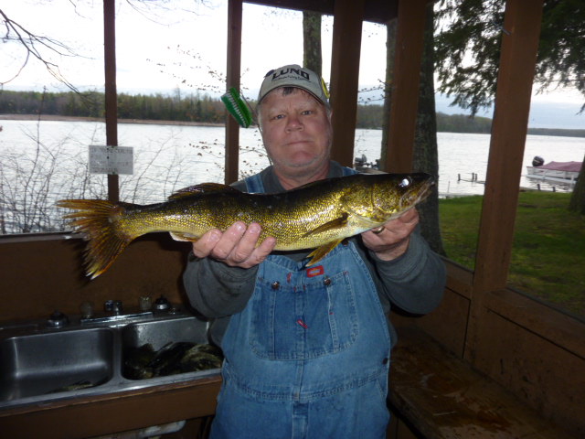 Opening day walleye -  Chippewa Flowage