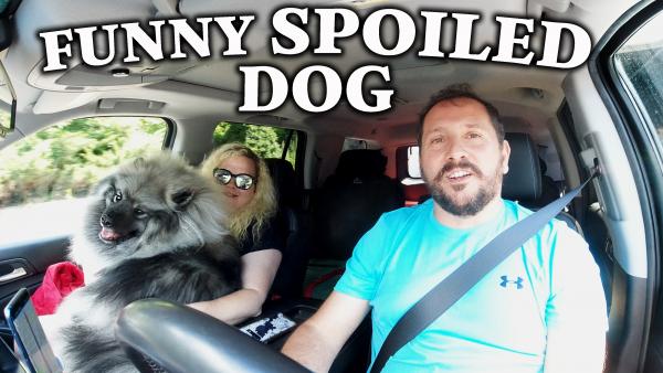 Our first trip started with a Very Very spoiled dog which didn't want to leave Niki's lap.  It's pretty funny!

https://youtu.be/TfwdX_whGlo