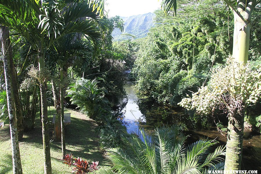 Our Jungle Cottage outside of Hanalei