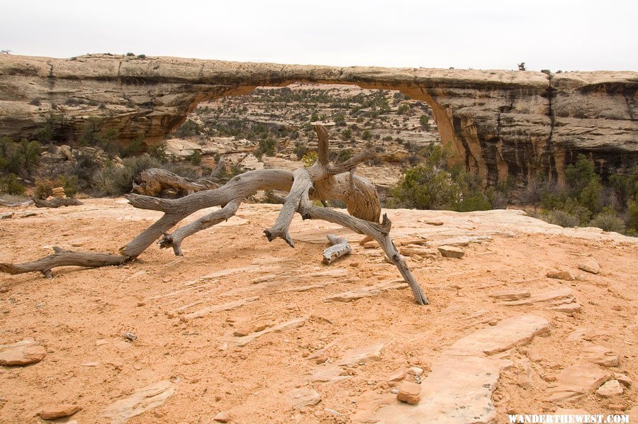 Owachomo Bridge