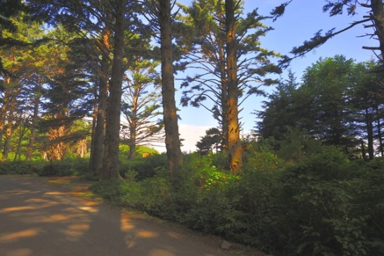 Pacific City RV and Camping Resort, Oregon