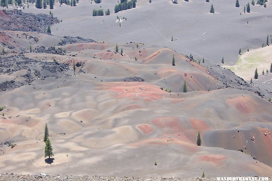 Painted Dunes