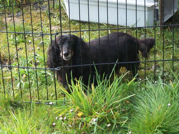 Pandora at 14 years old.