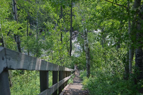 Part of the 1 mile hike to reach Two Step Falls