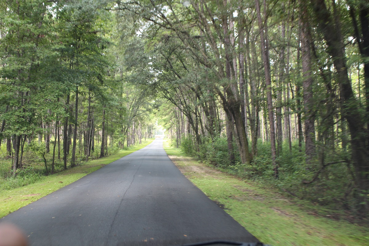 Peaceful road through the State Park