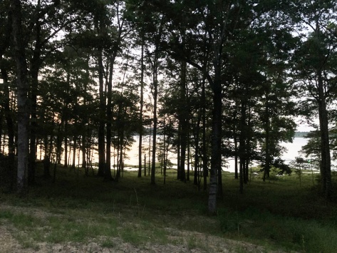 Percy Quin State Park in Mississippi