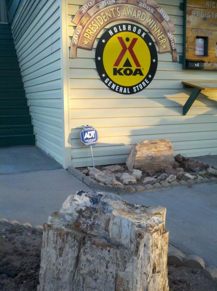 Petrified samples are abundant through Holbrook and used for curbing and rock gardens as seen here out side the signature A-frame CG store of the KOA.