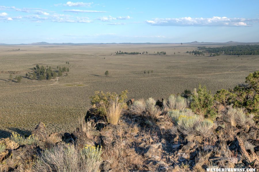 Pine Mt, view southeast: Eastern edge of Oregon forests