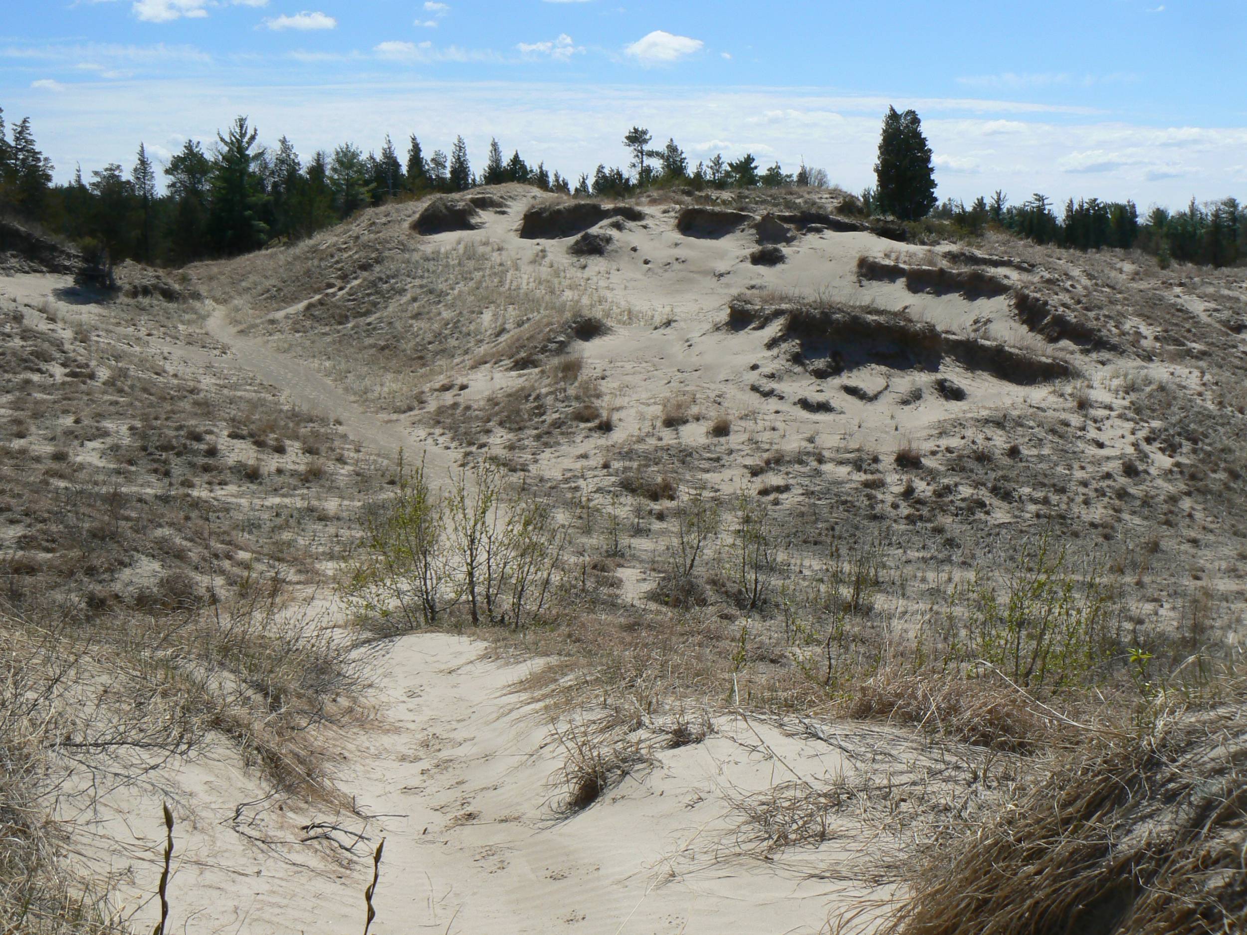 Pinery Prov Park