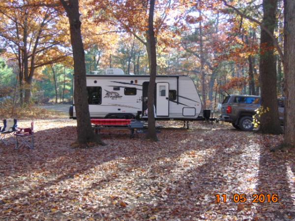 Pinery Provincial Park... could not have asked for a better weekend, low 60's, not a lot of campers, and leaves galore falling around us