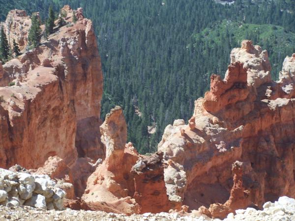 Pink Cliff near Tropic Res., UT