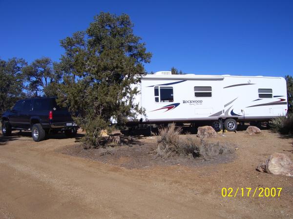 Pinyon Pines.