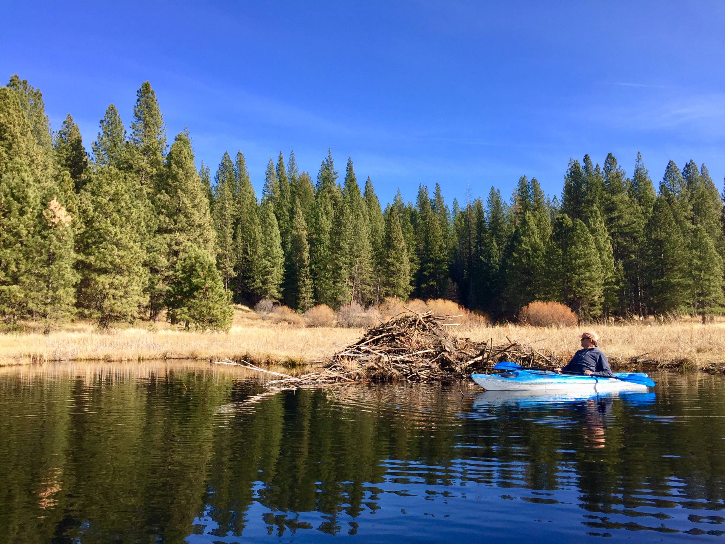 Plumas County Rocks!