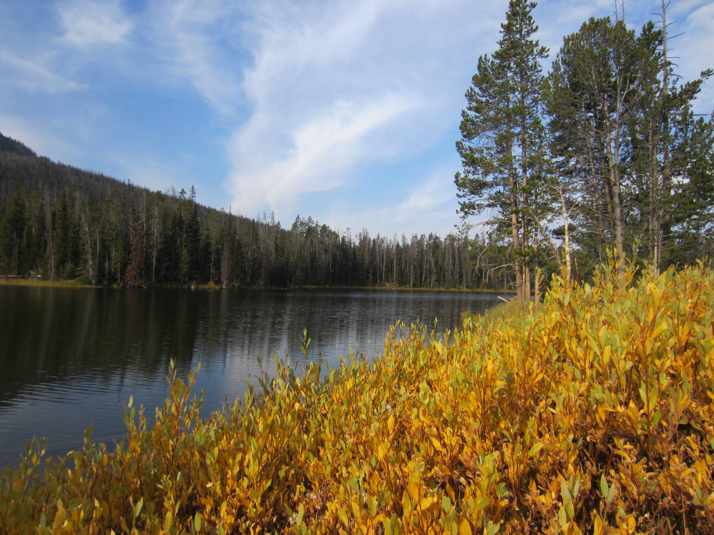 Pretty Fall Day in Yellowstone National Park