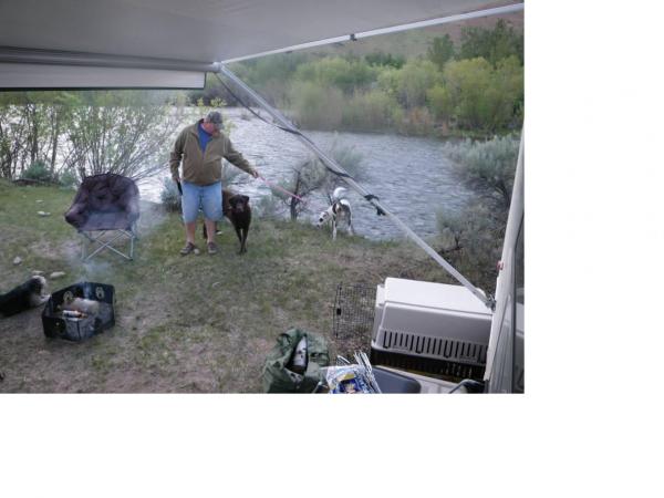 Pups on the Boise River