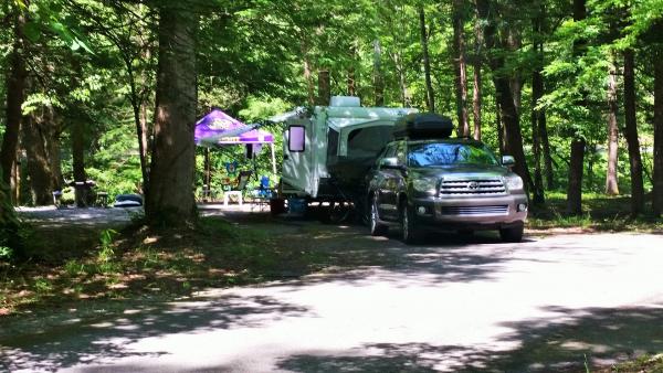 Quiet campsite  shaded by the rain forest like canopy of trees.