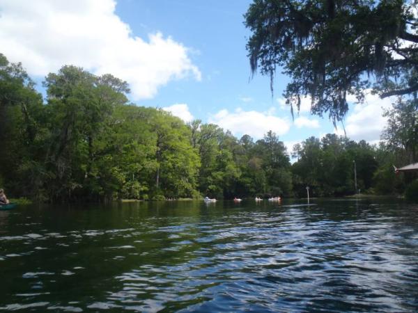 Rainbow River State Park 4/6/13