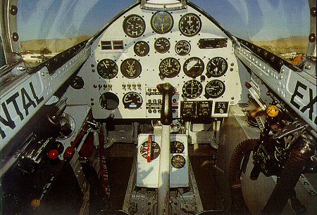 Rare Bears Cockpit