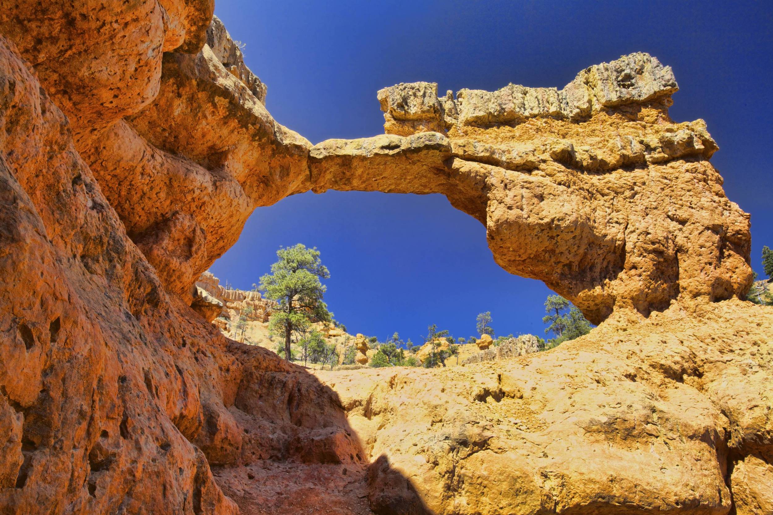 Red Canyon Arch