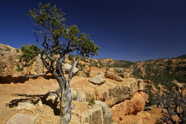 Red Canyon Hike