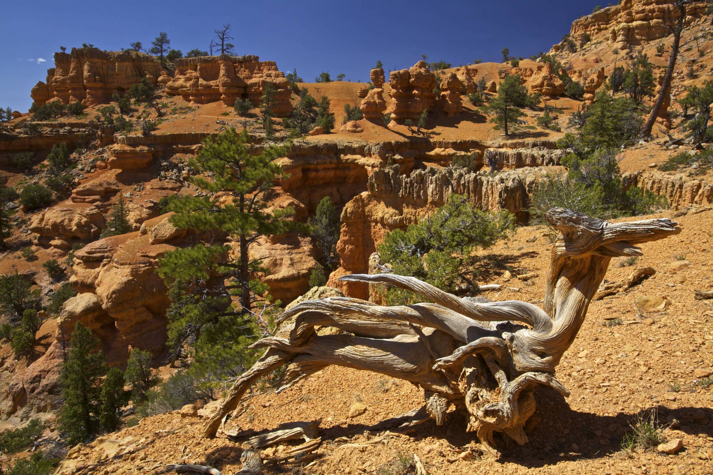 Red Canyon Hike