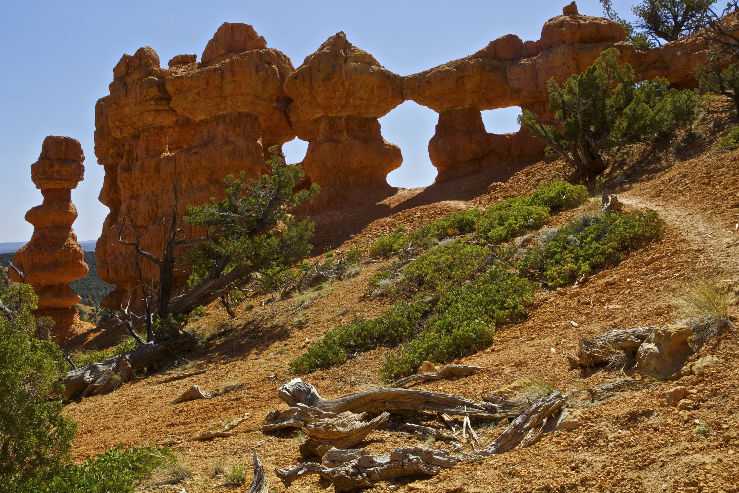 Red Canyon Hike