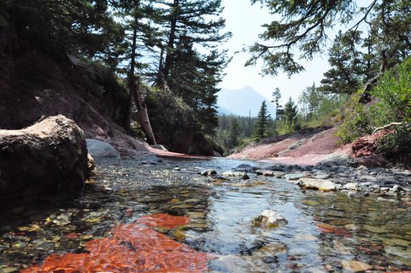 Red Rock Canyon river bed