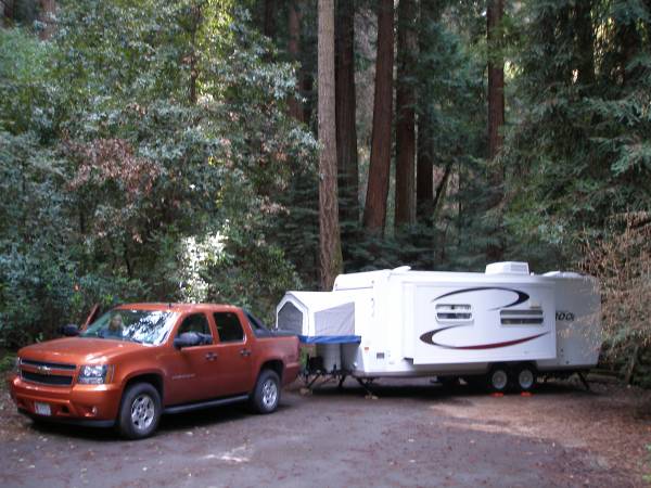 Redwoods 5