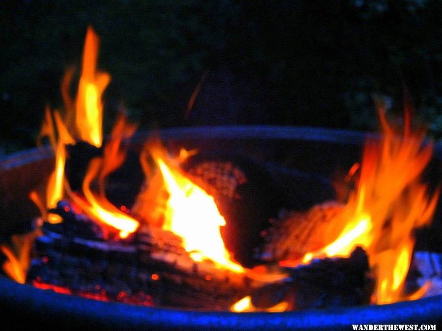 redwoods campfire.jpg