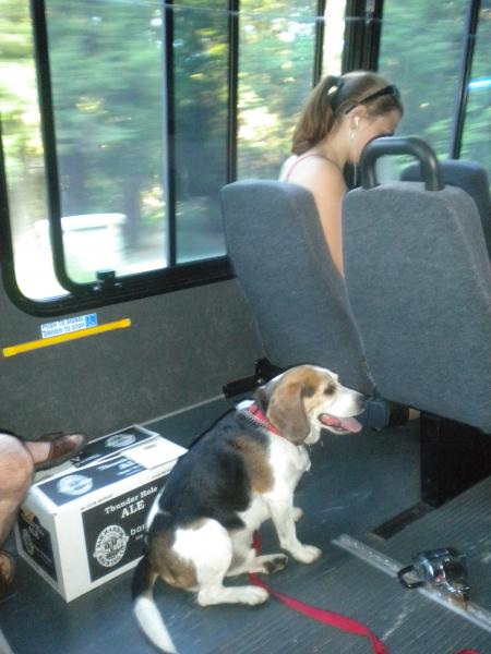 Riding LL Bean bus, you really don't need a car.