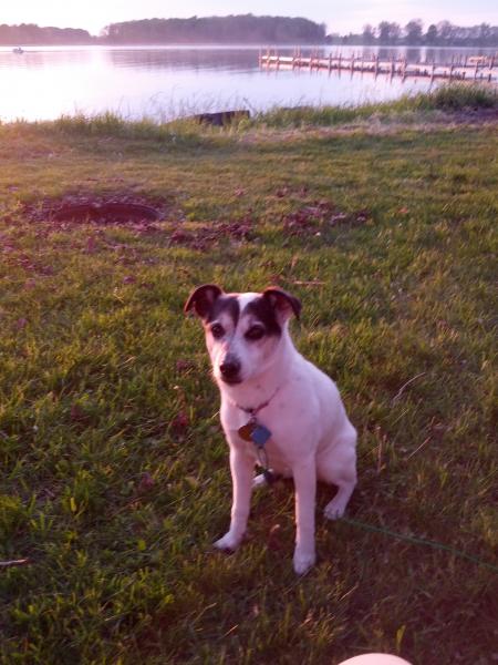 Riley thinking "If I sit for this picture maybe they'll let me in the water"