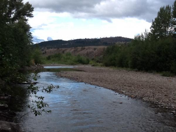 River beside Moonshadow campground