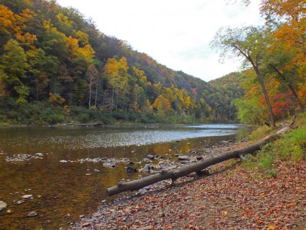 River view from our site