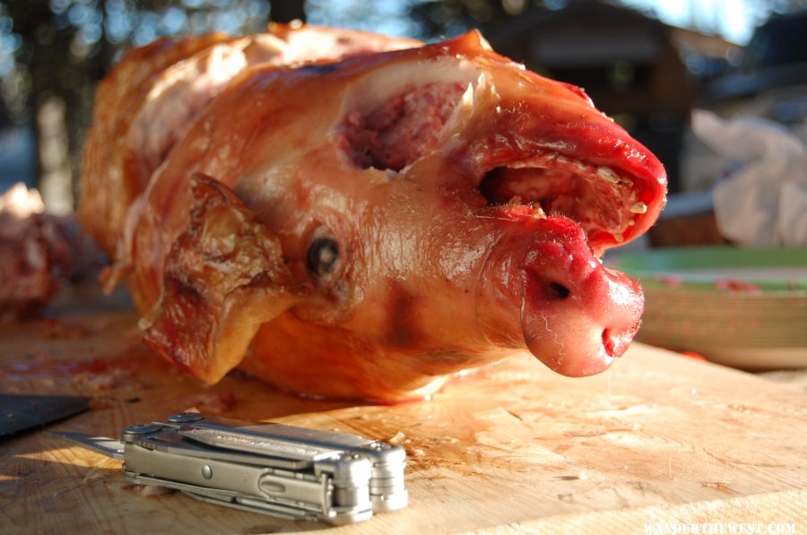 Roast Pig