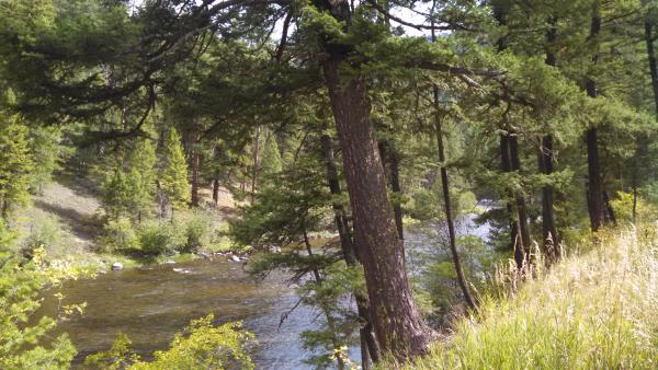 Rock Creek from the Dalles Campground