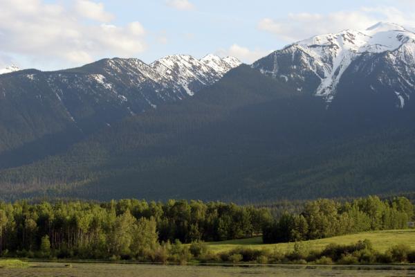 Rockies near McBride