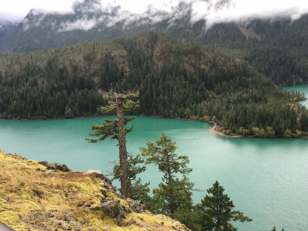 Ross Lake