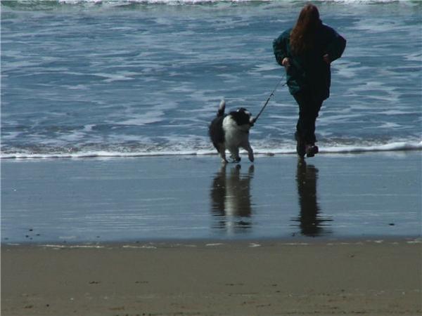 run on the beach