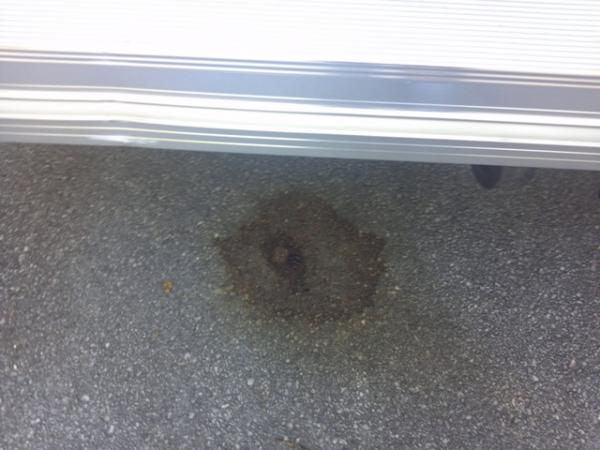 RV Ground Stain