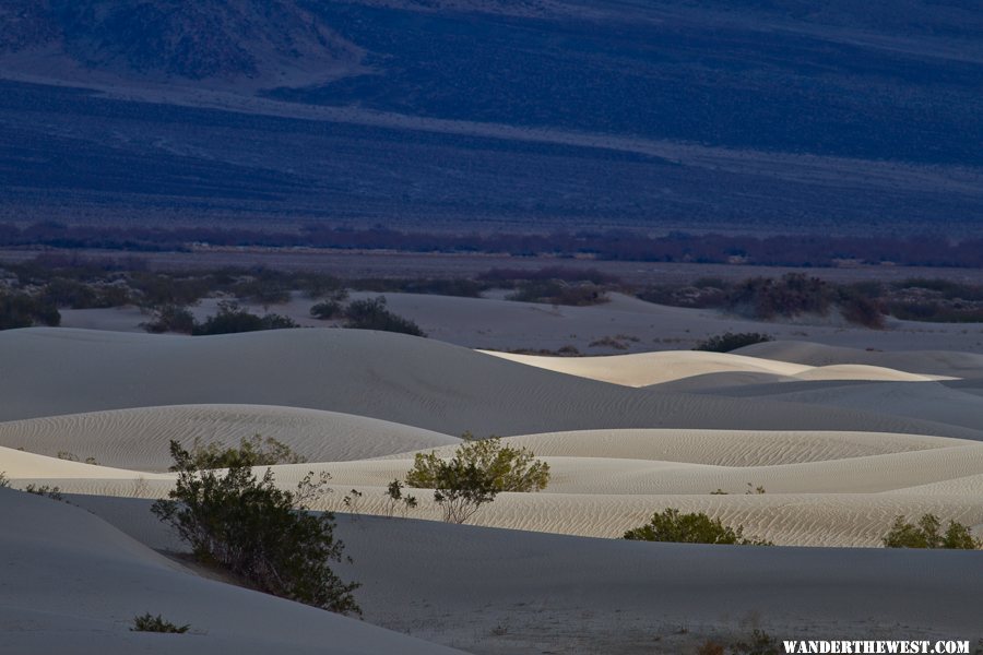 Saline Dunes