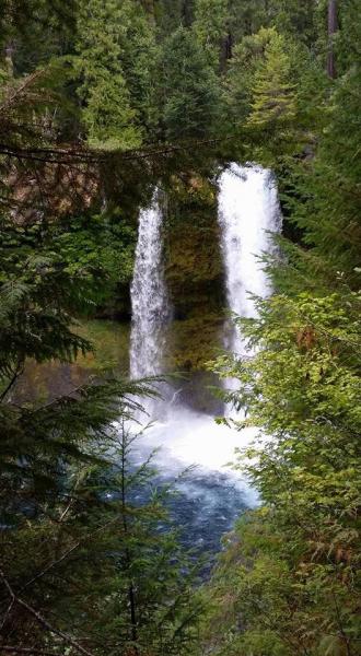 Saline Falls on McKenzie River, or