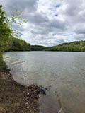 Salt Fork Lake view from campground sec F trail access