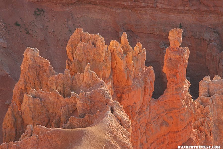 Scenic landscape in Cedar Breaks