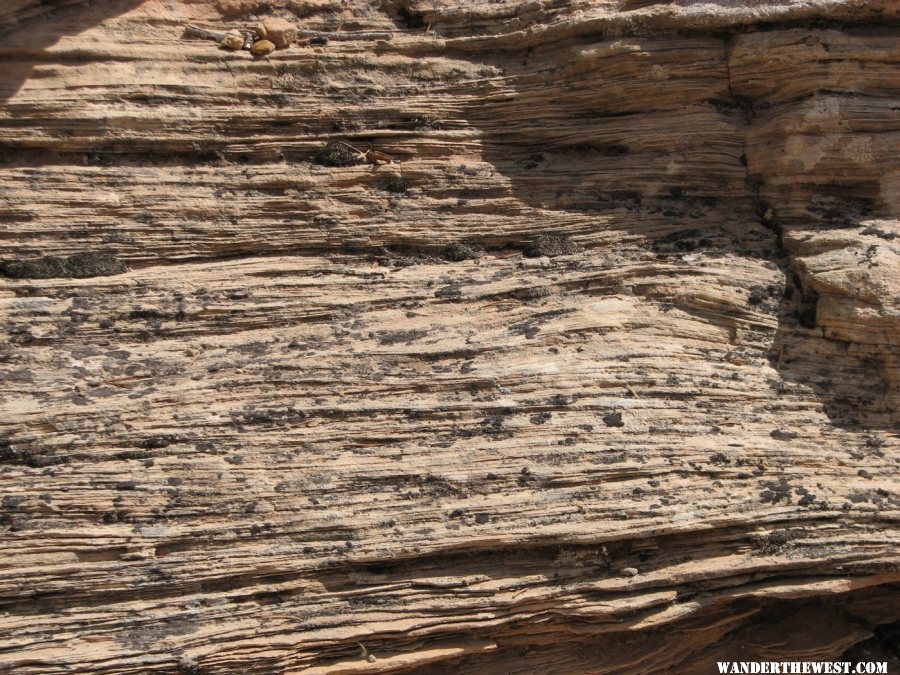 Sedimentary lines in the sandstone...