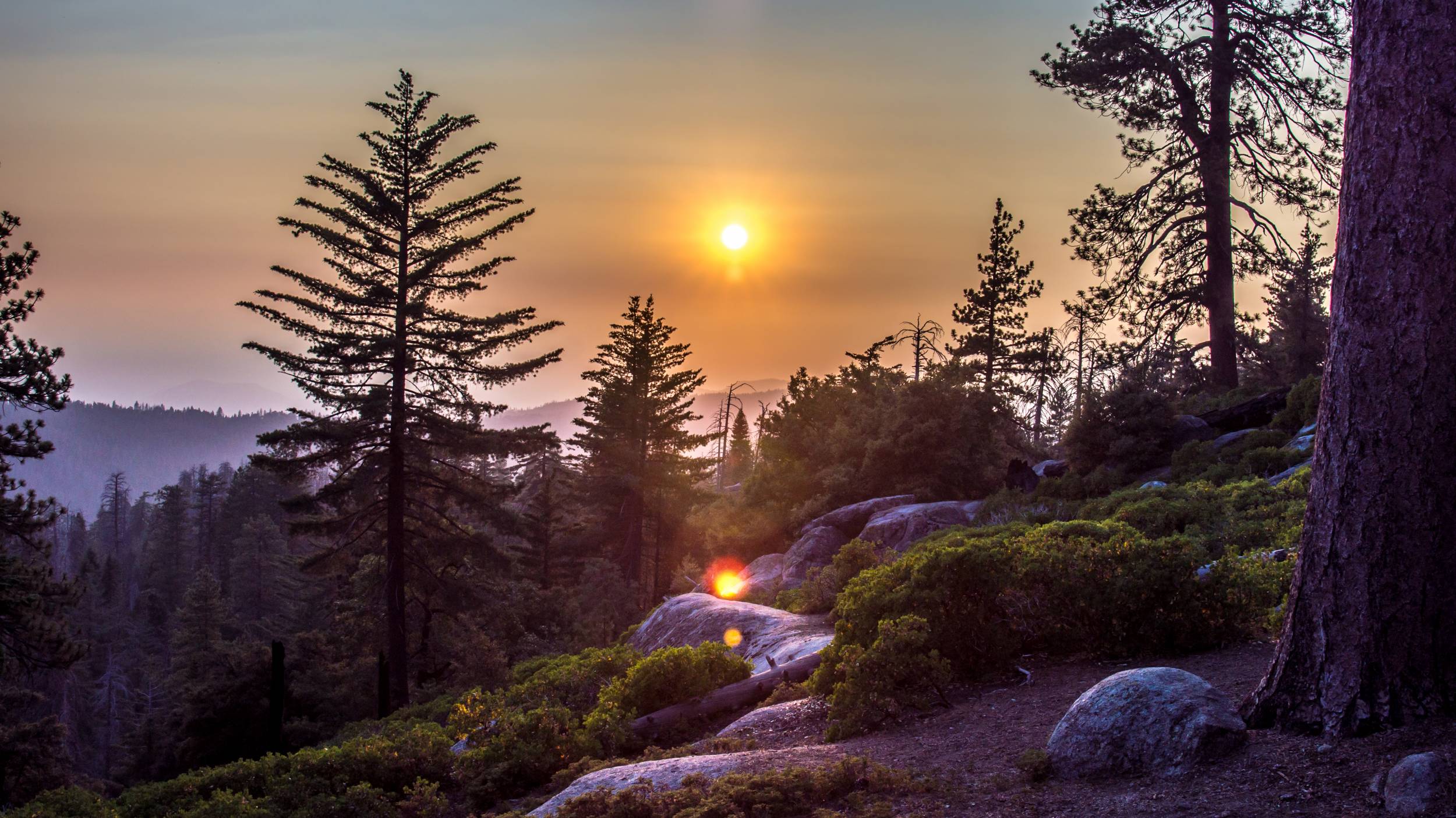 Sequoia National Park, July Sunset