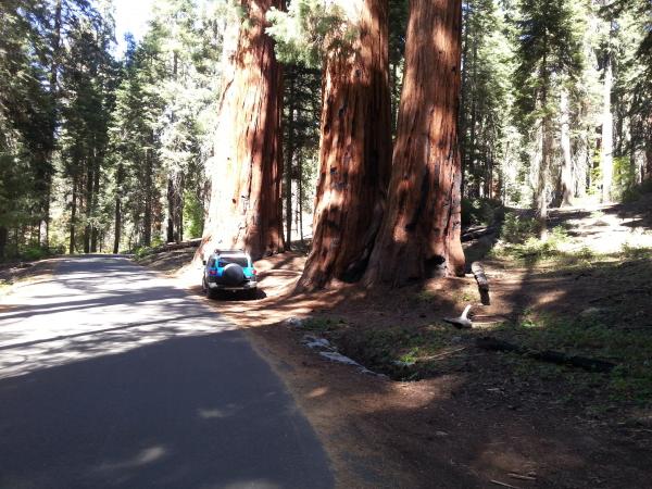 Sequoia National Park