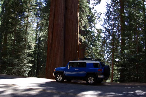 Sequoia National Park