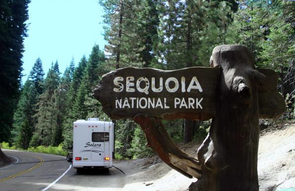 Sequoia national park