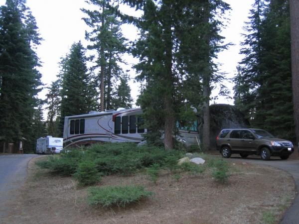 Sequoia NP